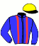casaque portée par Barrier A. jockey du cheval de course GALLANT WAY (FR), information pmu ZETURF