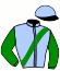 casaque portée par Raffin E. jockey du cheval de course HAVRAIS, information pmu ZETURF