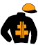 casaque portée par Poisson F. jockey du cheval de course GALA D'URFIST, information pmu ZETURF