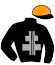 casaque portée par Corbineau Ced. jockey du cheval de course GIBALDI DE HOUELLE, information pmu ZETURF