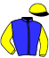 casaque portée par Nivard F. jockey du cheval de course HERMINE CAPTAIN (FR), information pmu ZETURF