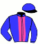 casaque portée par Dabouis A. jockey du cheval de course FALCO FLEURI (FR), information pmu ZETURF