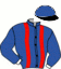 casaque portée par Abrivard A. jockey du cheval de course ECCO C N (DK), information pmu ZETURF