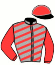 casaque portée par Jublot L. jockey du cheval de course IDOLE DE BERGAULT (FR), information pmu ZETURF