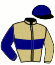 casaque portée par Abrivard A. jockey du cheval de course IDYLLE DE LA COTE, information pmu ZETURF