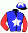 casaque portée par Ernault S. jockey du cheval de course HAPPY DU PARC, information pmu ZETURF