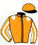 casaque portée par Lecoq M. jockey du cheval de course COQ D'AVRAN (FR), information pmu ZETURF