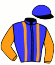 casaque portée par Lebourgeois Y. jockey du cheval de course DIGITAL RACES, information pmu ZETURF