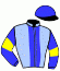 casaque portée par Raffin E. jockey du cheval de course HALMA D'AMER, information pmu ZETURF