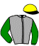 casaque portée par Perron N. jockey du cheval de course CADENCE DEL FRETTA (FR), information pmu ZETURF