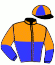 casaque portée par Desmigneux F. jockey du cheval de course ARIEL FERM, information pmu ZETURF