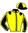 casaque portée par Gaborit L. jockey du cheval de course ENDENE BEAUREGARD, information pmu ZETURF
