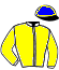 casaque portée par Voisin A. jockey du cheval de course JIOSCO DIGEO, information pmu ZETURF