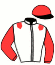 casaque portée par Ploquin P. Ph. jockey du cheval de course JACOVIA MADRIK, information pmu ZETURF