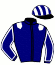 casaque portée par Abrivard M. jockey du cheval de course FORUM MESLOIS, information pmu ZETURF