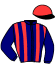 casaque portée par Mottier M. jockey du cheval de course IDEALE D'ARCEY, information pmu ZETURF