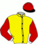 casaque portée par Abrivard M. jockey du cheval de course DEUS ZACK, information pmu ZETURF