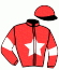 casaque portée par Verva Pie. Y. jockey du cheval de course JACIO SLAP, information pmu ZETURF