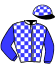casaque portée par Bourgoin-timbert A. jockey du cheval de course DILF DE CHAMANT, information pmu ZETURF