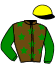 casaque portée par Joly R. jockey du cheval de course JORDANA, information pmu ZETURF