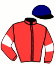 casaque portée par Gelormini G. jockey du cheval de course HOVE PONT VAUTIER, information pmu ZETURF