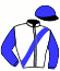 casaque portée par Desmottes A. jockey du cheval de course HORA BOT EUR MOEL, information pmu ZETURF