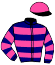 casaque portée par Croisic Mme Est. jockey du cheval de course DOW JONES EMGE, information pmu ZETURF