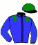 casaque portée par Mottier M. jockey du cheval de course FOUGUE DU DOLLAR, information pmu ZETURF