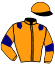 casaque portée par Lebourgeois Y. jockey du cheval de course KER BERNICK, information pmu ZETURF
