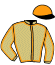 casaque portée par Raffin E. jockey du cheval de course JANE HUDSON, information pmu ZETURF casaque portée par Raffin E. jockey du cheval de course JANE HUDSON, information pmu ZETURF