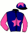 casaque portée par Louche J. C. jockey du cheval de course IRELAND TEAM, information pmu ZETURF