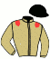 casaque portée par Prod'homme P. jockey du cheval de course IRVING HEROLD, information pmu ZETURF
