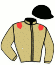 casaque portée par Prod'homme P. jockey du cheval de course IRVING HEROLD, information pmu ZETURF casaque portée par Prod'homme P. jockey du cheval de course IRVING HEROLD, information pmu ZETURF