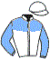 casaque portée par Ploquin Pau. Ph. jockey du cheval de course DESTINO D.J., information pmu ZETURF