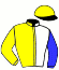 casaque portée par Nivard F. jockey du cheval de course YAHOO DIAMANT, information pmu ZETURF casaque portée par Nivard F. jockey du cheval de course YAHOO DIAMANT, information pmu ZETURF