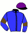 casaque portée par Ternisien Ph. jockey du cheval de course LE ROI DES BRIERES, information pmu ZETURF casaque portée par Ternisien Ph. jockey du cheval de course LE ROI DES BRIERES, information pmu ZETURF