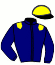 casaque portée par Ploquin Pau. Ph. jockey du cheval de course KING STEED, information pmu ZETURF casaque portée par Ploquin Pau. Ph. jockey du cheval de course KING STEED, information pmu ZETURF