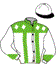 casaque portée par Raffin E. jockey du cheval de course DIE HARD, information pmu ZETURF casaque portée par Raffin E. jockey du cheval de course DIE HARD, information pmu ZETURF
