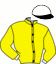 casaque portée par Martens C. jockey du cheval de course LOVE ME DO, information pmu ZETURF casaque portée par Martens C. jockey du cheval de course LOVE ME DO, information pmu ZETURF