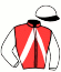 casaque portée par Acker Y. jockey du cheval de course HIDAO DE LA GOUTTE, information pmu ZETURF