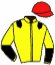 casaque portée par Monthule Hug. jockey du cheval de course LAGUNE, information pmu ZETURF