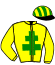 casaque portée par Nivard F. jockey du cheval de course JOKER DE LA BRETTE, information pmu ZETURF