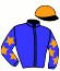 casaque portée par Mottier M. jockey du cheval de course FISH DE HOUELLE, information pmu ZETURF
