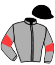 casaque portée par Lizee G. jockey du cheval de course JIRI PACHA, information pmu ZETURF casaque portée par Lizee G. jockey du cheval de course JIRI PACHA, information pmu ZETURF