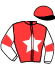 casaque portée par De Jesus Est. jockey du cheval de course JESSY DES PISTES, information pmu ZETURF casaque portée par De Jesus Est. jockey du cheval de course JESSY DES PISTES, information pmu ZETURF