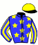 casaque portée par Raimbeaux N. jockey du cheval de course MEGANE DE CERISY, information pmu ZETURF casaque portée par Raimbeaux N. jockey du cheval de course MEGANE DE CERISY, information pmu ZETURF