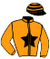 casaque portée par Briand Y. A. jockey du cheval de course HARPIE DE JED (FR), information pmu ZETURF