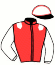 casaque portée par Raffin E. jockey du cheval de course HOLD OF COMTAL, information pmu ZETURF