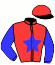 casaque portée par Bekaert D. jockey du cheval de course IXELA DU FAN, information pmu ZETURF