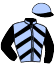casaque portée par Lefevre N. G. jockey du cheval de course HULK D'ARNON, information pmu ZETURF casaque portée par Lefevre N. G. jockey du cheval de course HULK D'ARNON, information pmu ZETURF